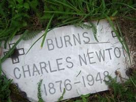 Charles Newton Burns