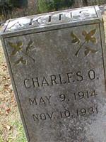 Charles P Akins