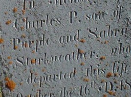 Charles P Starkweather
