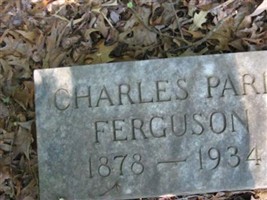 Charles Paris Ferguson Charles Paris Ferguson