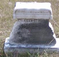 Charles Post Woodruff