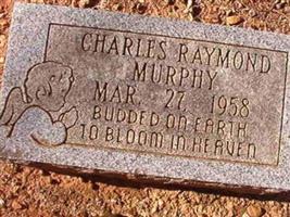 Charles Raymond Murphy