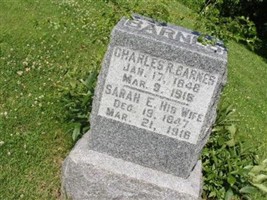 Charles Rollin Barnes Charles Rollin Barnes