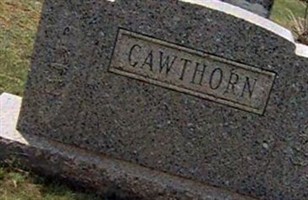 Charles S Cawthorn Charles S Cawthorn