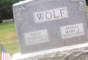 Charles S Wolf Charles S Wolf