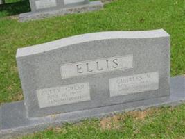 Charles W Ellis