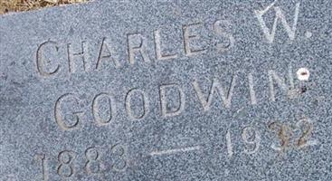 Charles W Goodwin