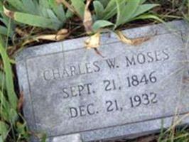 Charles W. Moses