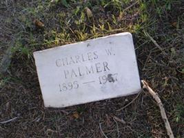 Charles W Palmer