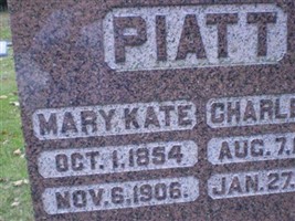 Charles W. Piatt Charles W. Piatt