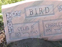 Charles Warner Bird