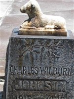 Charles Welburn Johnson