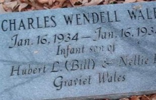 Charles Wendell Wales