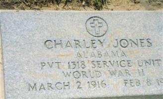 Charles Wesley Jones