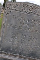 Charles William Erickson