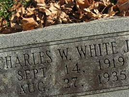 Charles Wilson White, Jr