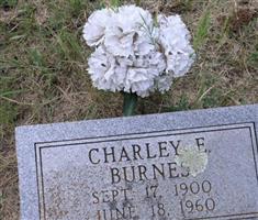 Charley E. Burnes