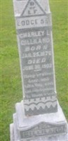 Charley L. Gilliland