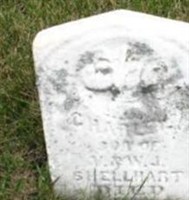 Charley Shellhart