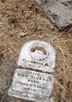 Charlie A. Field