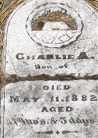 Charlie A. Field