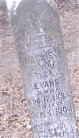 Charlie Evans Charlie Evans