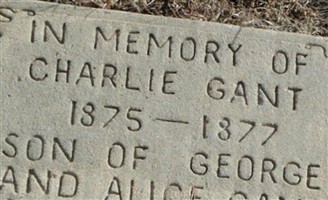 Charlie Gant