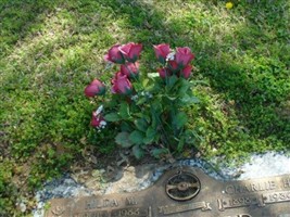 Charlie H Pfeiffer