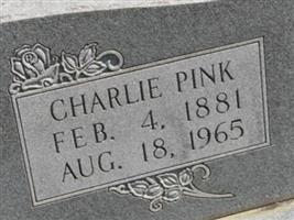 Charlie Pink Loggins