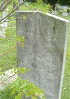 Charlotte A Yale