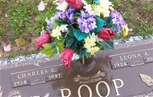 Charlotte Ann Fitzgerald Roop