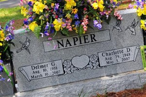 Charlotte D. Aderholt Napier Charlotte D. Aderholt Napier