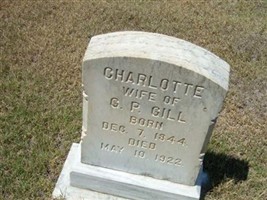 Charlotte Gill Charlotte Gill
