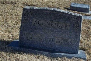 Charlotte Lottie Schneider Schneider
