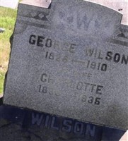 Charlotte Stergis Wilson