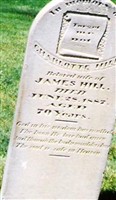 Charlotte Timms Hill Charlotte Timms Hill