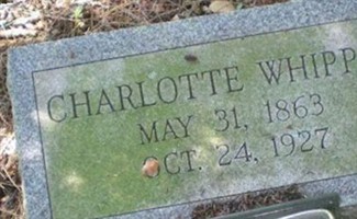 Charlotte Whipple
