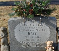 Chelcy Lee Rapp