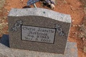 Cherie Jeanette Holbrook