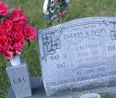Cherry Been Payne Ivory