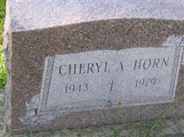 Cheryl A Horn