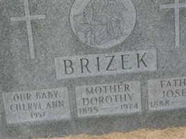 Cheryl Ann Brizek Cheryl Ann Brizek