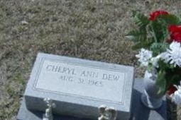 Cheryl Ann Dew