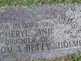 Cheryl Ann Holmes Cheryl Ann Holmes
