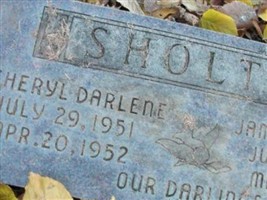 Cheryl Darlene Sholtys Cheryl Darlene Sholtys