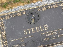 Cheryl J Steele