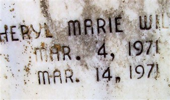 Cheryl Marie Wilkes