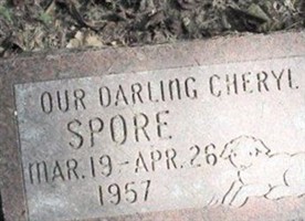 Cheryl Spore Cheryl Spore