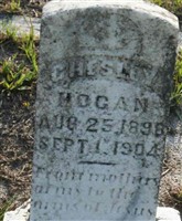 Chesley Hogan