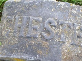 Chester A Badger (1874248.jpg)